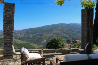 Quinta do Côtto terrace and view