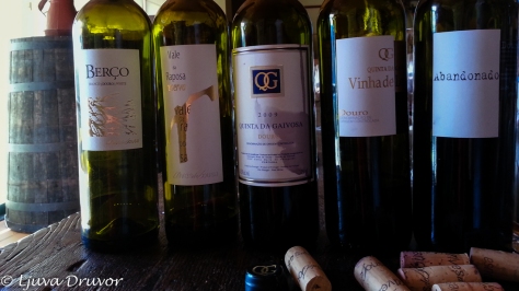 Douro wines from Alves de Sousa