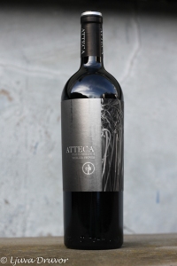 Atteca Old Vines 2013-9483